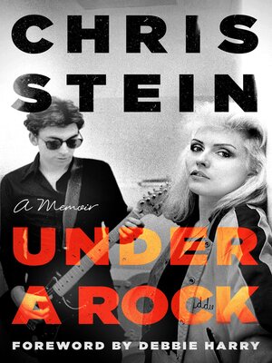 cover image of Under a Rock